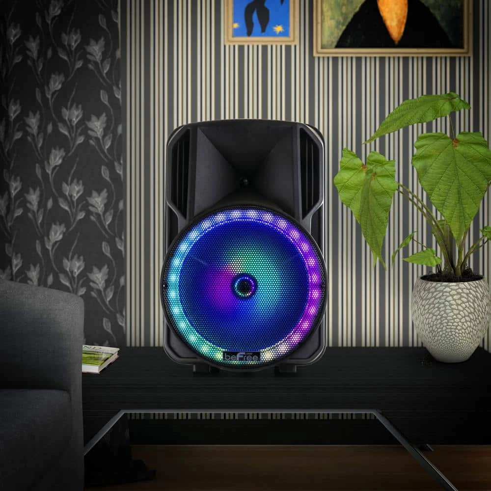 12 in. Portable Wireless Bluetooth PA Speaker by BEFREE SOUND 10 12 in. Portable Wireless Bluetooth PA Speaker by BEFREE SOUND - Image 8
