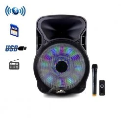 Eaton Sales 2 15 in. Bluetooth Rechargeable Party Speaker with Illuminating Lights by BEFREE SOUND