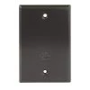 Bronze 1-Gang Weatherproof Blank Cover by Commercial Electric